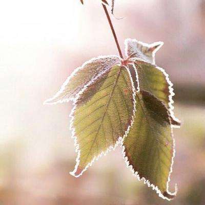 金年会体育下载app